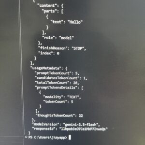 AI Model Console Output Display