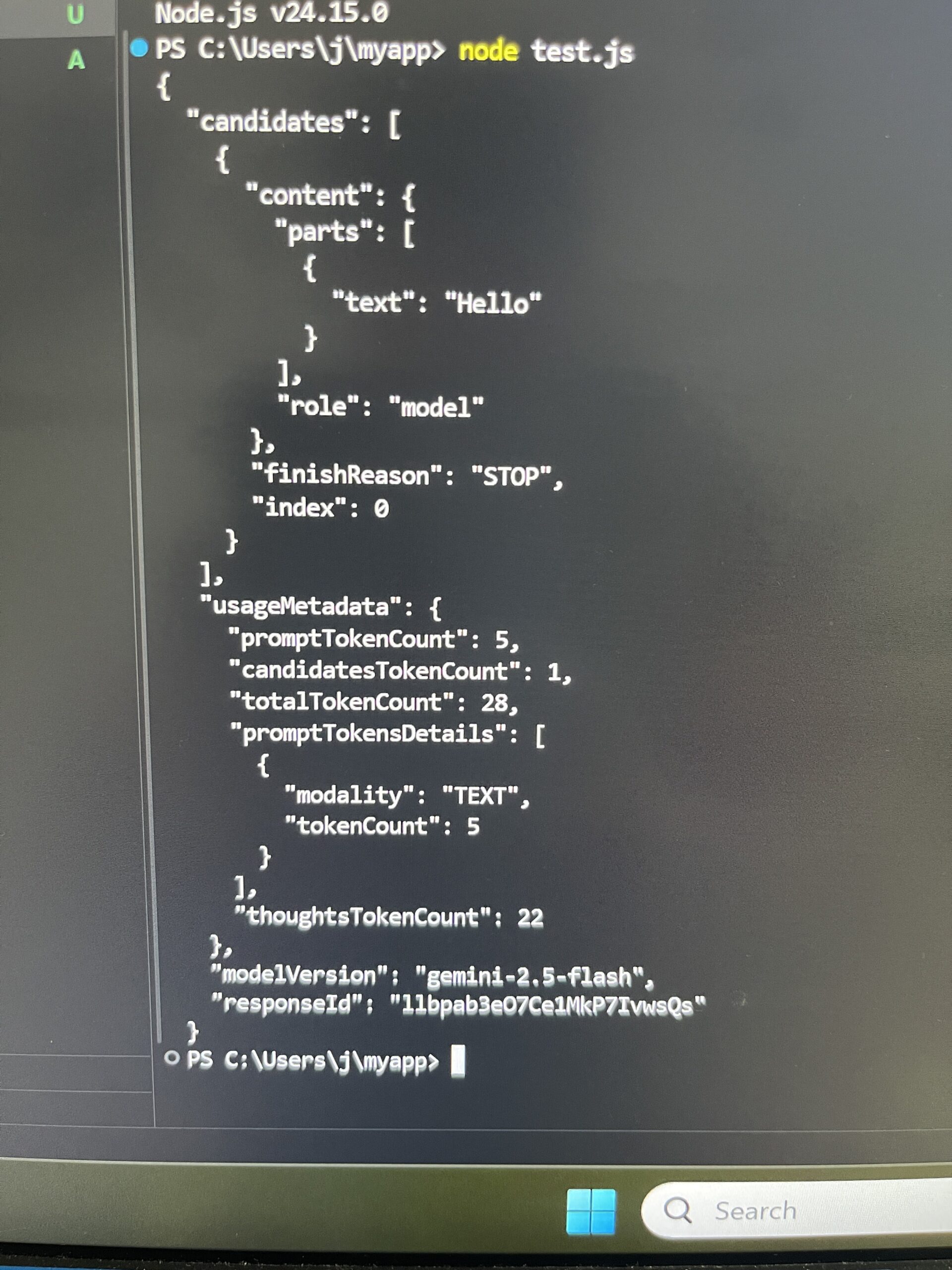 AI Model Console Output Display
