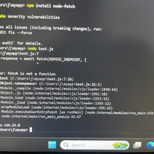 Node.js Fetch Error Screen Capture
