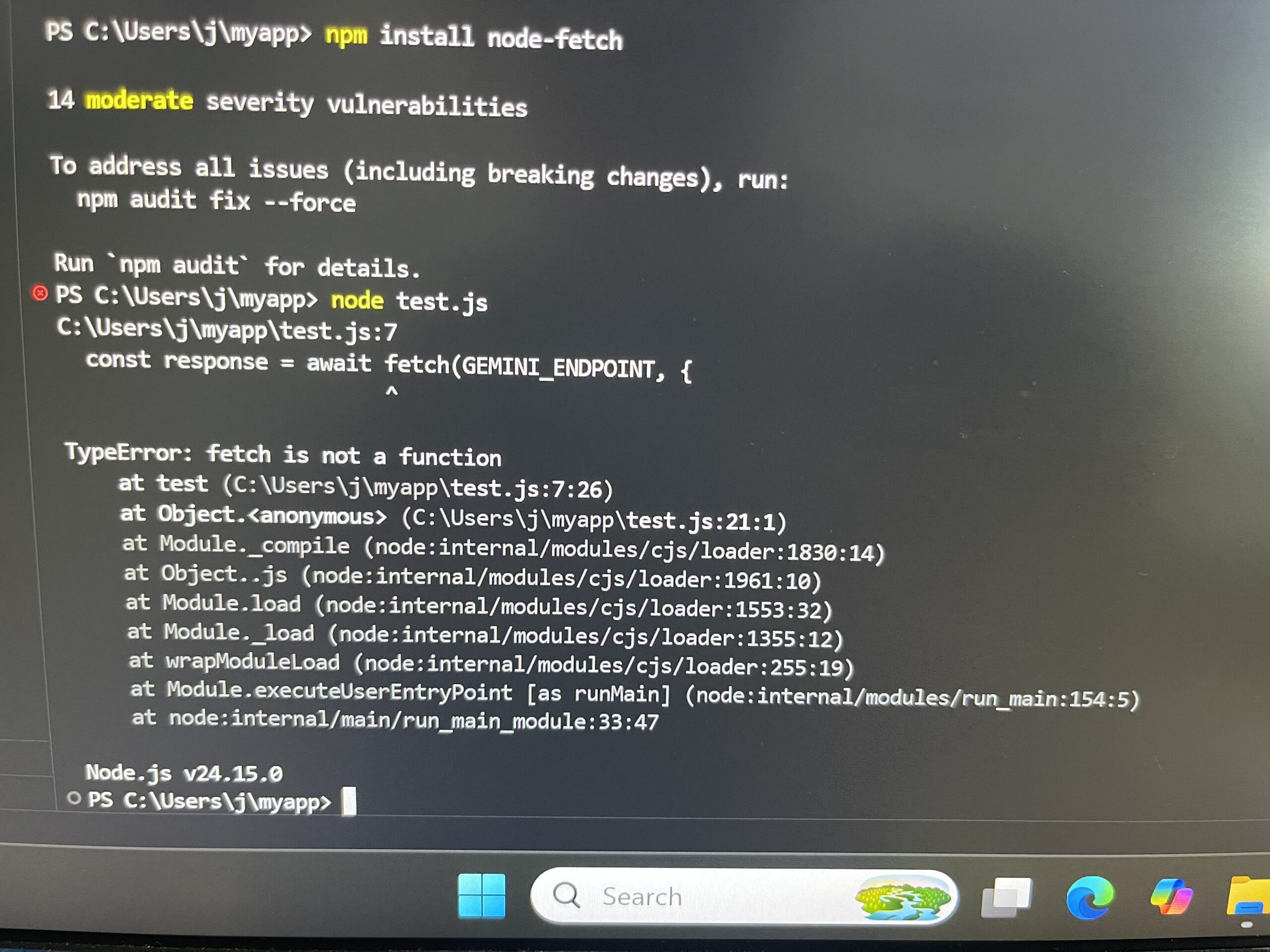 Node.js Fetch Error Screen Capture